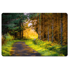 Desk Mat - Sunlit path in County Clare - James A. Truett - Moods of Ireland - Irish Art