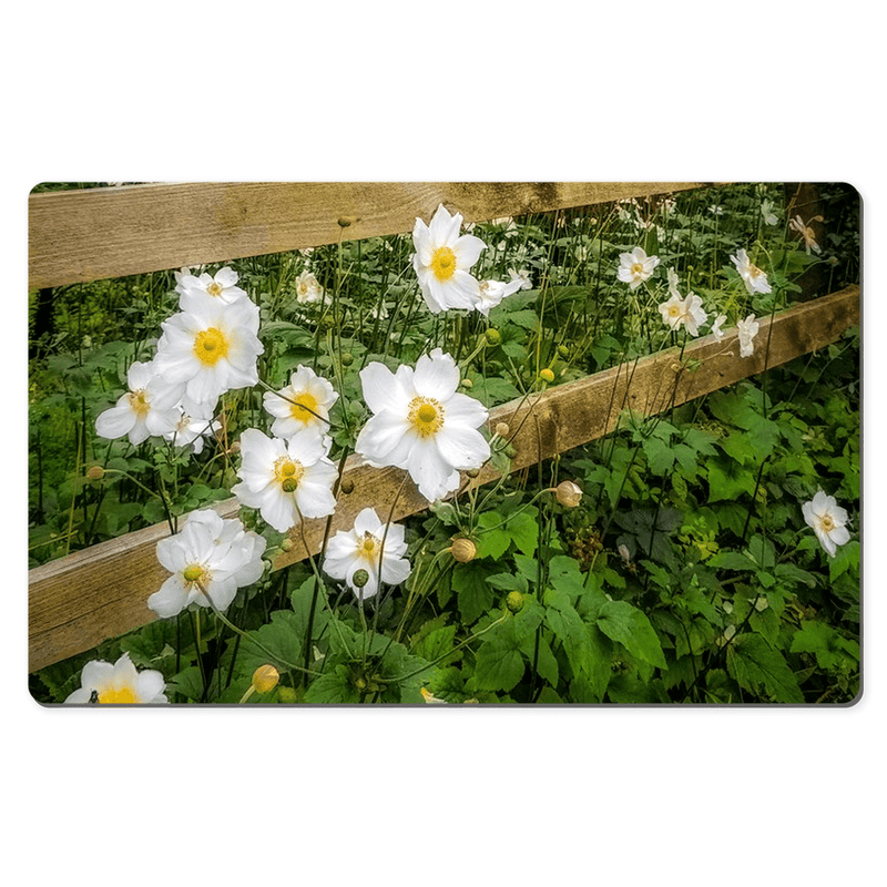 Desk Mat - Japanese Anemones in the Irish Countryside - James A. Truett - Moods of Ireland - Irish Art