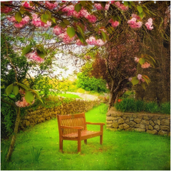 Shower Curtain - Bench under Cherry Blossoms, Quin, County Clare - James A. Truett - Moods of Ireland - Irish Art