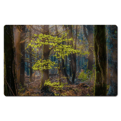 Desk Mat - Misty Irish Spring Forest in Coole Park, County Galway - James A. Truett - Moods of Ireland - Irish Art