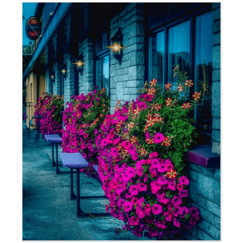 Print - Flower Boxes at Cobbler's Rest, Bodyke, County Clare - Moods of Ireland