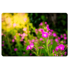 Desk Mat - Portrait of Great Willowherb Wildflowers, County Clare - Moods of Ireland
