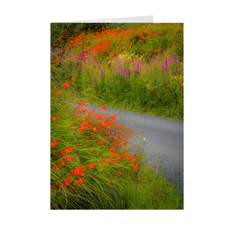 Folded Note Cards - Irish Wildflowers on a Country Road, County Clare - James A. Truett - Moods of Ireland - Irish Art