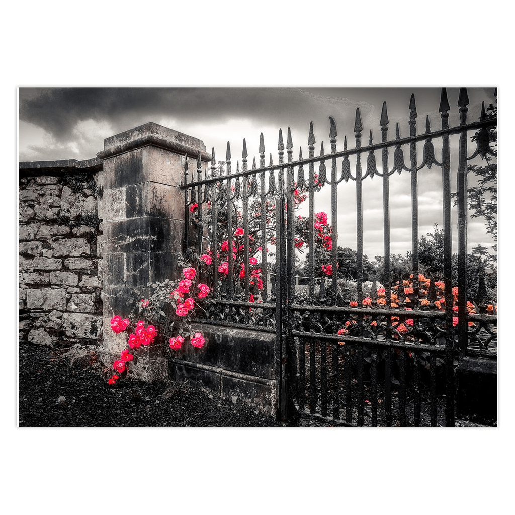 Folded Note Cards - Irish Roses through Gate, County Clare - Moods of Ireland
