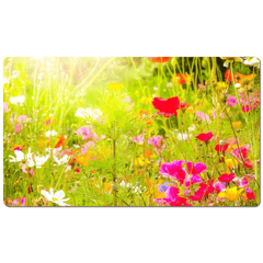 Desk Mat - Wildflower Chorus Serenading the Sun, County Clare - James A. Truett - Moods of Ireland - Irish Art