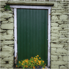 Shower Curtain - Pansies and Painted Old Stone Building, Cooraclare, County Clare - James A. Truett - Moods of Ireland - Irish Art