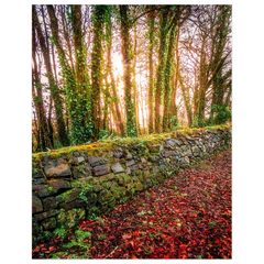 Print - Winter Sun at Newhall Estate, County Clare
