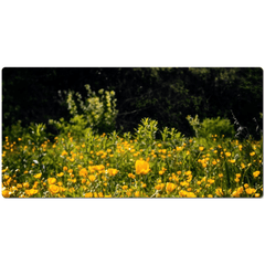 Desk Mat - Merry Meadow of Buttercups, County Clare - James A. Truett - Moods of Ireland - Irish Art