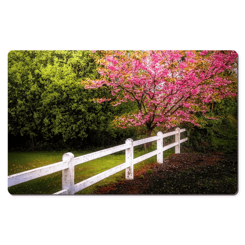 Desk Mat - Cherry Blossoms and White-washed Fence, County Clare - James A. Truett - Moods of Ireland - Irish Art