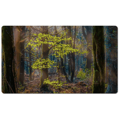 Desk Mat - Misty Irish Spring Forest in Coole Park, County Galway - James A. Truett - Moods of Ireland - Irish Art