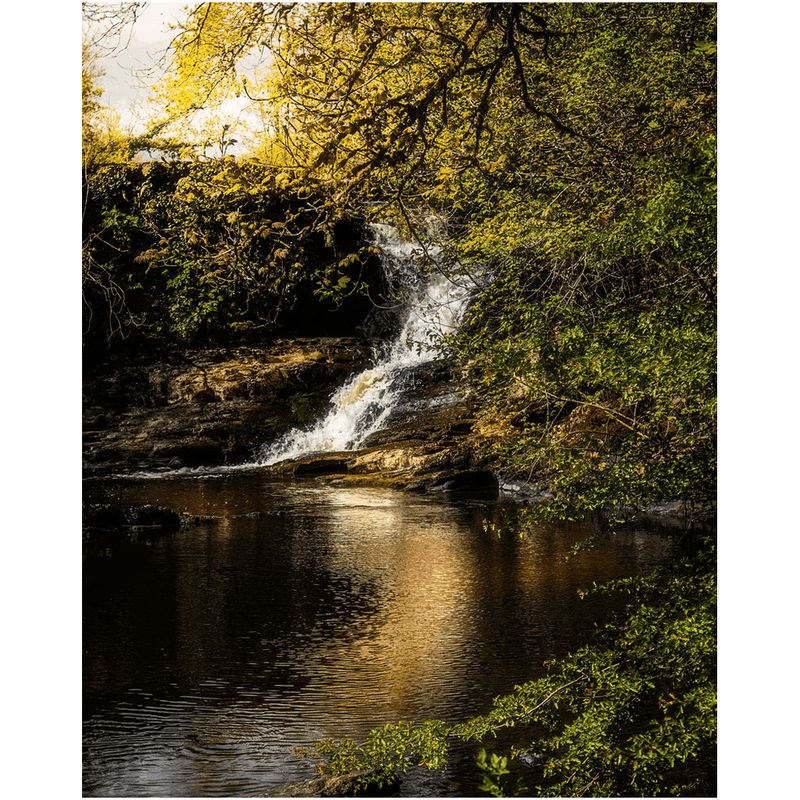 Print - Tranquil Bluebell Falls at Clondegad, County Clare - James A. Truett - Moods of Ireland - Irish Art