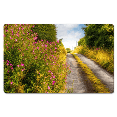 Desk Mat - Roadside Wildflowers at Kilkerin Point, County Clare - Moods of Ireland