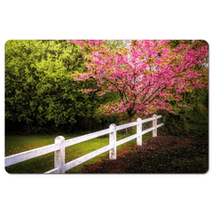 Desk Mat - Cherry Blossoms and White-washed Fence, County Clare - James A. Truett - Moods of Ireland - Irish Art