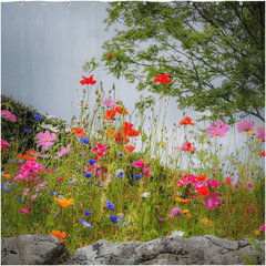 Shower Curtain - Wildflowers in Limestone Bed, County Clare - James A. Truett - Moods of Ireland - Irish Art