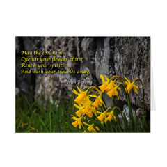 Folded Note Cards - Irish Blessings - Daffodils - James A. Truett - Moods of Ireland - Irish Art