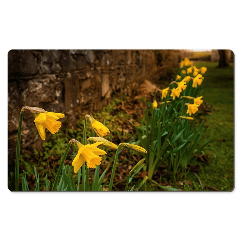 Desk Mat - Spring Daffodils, Kilrush, County Clare - James A. Truett - Moods of Ireland - Irish Art