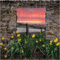 Shower Curtain - Daffodil Sunrise in the Irish Countryside - James A. Truett - Moods of Ireland - Irish Art