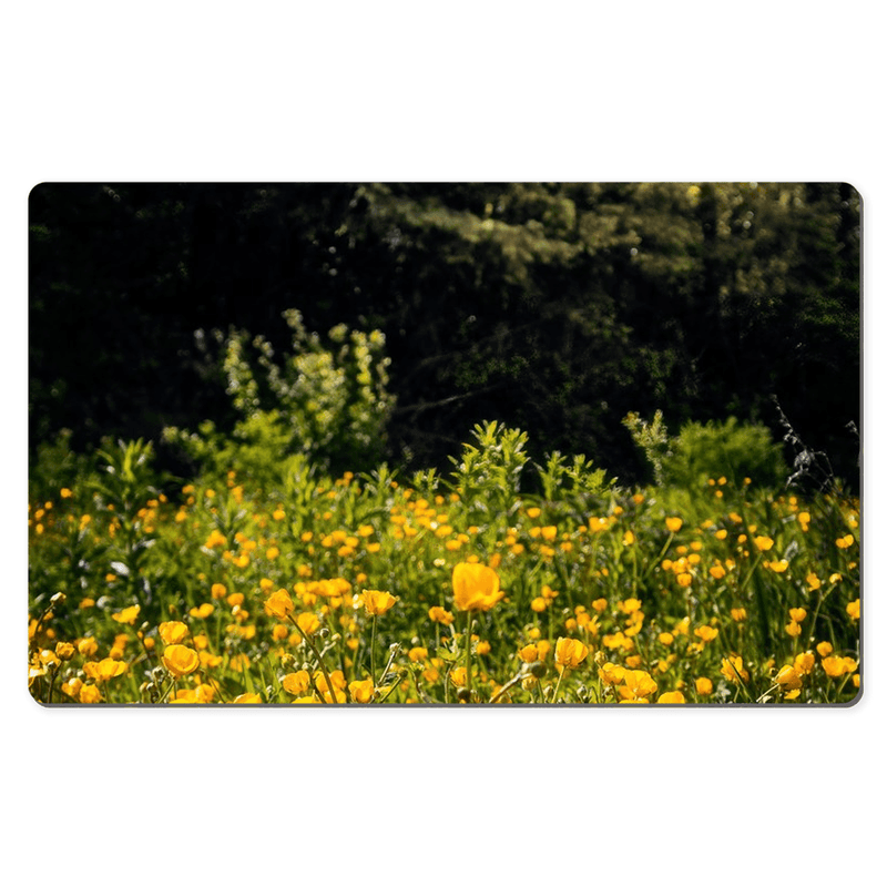 Desk Mat - Merry Meadow of Buttercups, County Clare - James A. Truett - Moods of Ireland - Irish Art