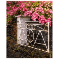 Print - Gate with Pink Roses, Lissycasey, County Clare - James A. Truett - Moods of Ireland - Irish Art