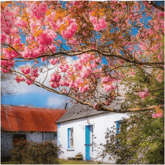 Shower Curtain - Cherry Blossoms and Irish Cottage, County Clare - James A. Truett - Moods of Ireland - Irish Art