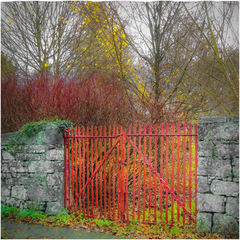 Shower Curtain - Red Gate in Autumn, County Galway - James A. Truett - Moods of Ireland - Irish Art