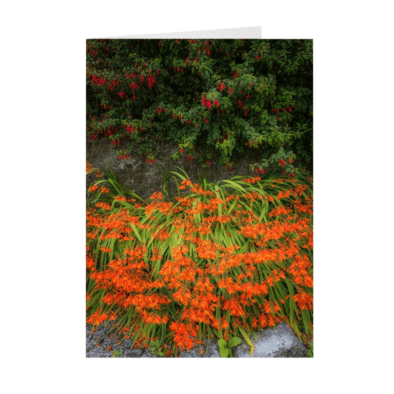 Folded Note Cards - Irish Montbretia and Fuchsias, County Clare - James A. Truett - Moods of Ireland - Irish Art