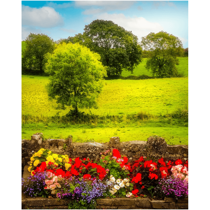 Print - Green Meadows of Kildysart, County Clare - James A. Truett - Moods of Ireland - Irish Art