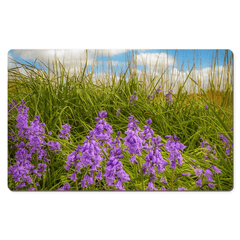 Desk Mat - Ballycorick Bluebells - James A. Truett - Moods of Ireland - Irish Art