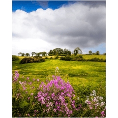 Print - Lissycasey Wildflowers, County Clare, Ireland - James A. Truett - Moods of Ireland - Irish Art