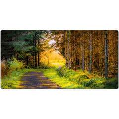 Desk Mat - Sunlit path in County Clare - James A. Truett - Moods of Ireland - Irish Art