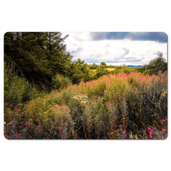 Desk Mat - Great Willowherb Wildflower Explosion, County Clare - James A. Truett - Moods of Ireland - Irish Art