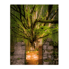 Canvas Wrap - Lady's Tea Garden at Portumna Castle, County Galway - James A. Truett - Moods of Ireland - Irish Art