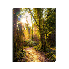 Canvas Wrap - Sunlit Path in Dromore Wood Nature Reserve, County Clare - James A. Truett - Moods of Ireland - Irish Art