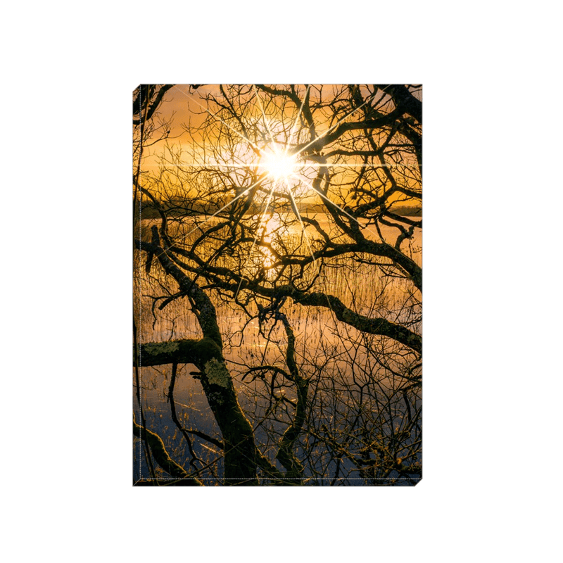 Canvas Wrap - Lough Reflections at Dromore Wood, County Clare - James A. Truett - Moods of Ireland - Irish Art