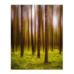 Canvas Wrap - Ethereal Mood in Portumna Forest Park, County Galway - James A. Truett - Moods of Ireland - Irish Art