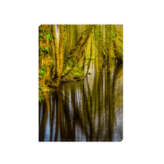 Canvas Wrap - Magical Moods of Yeats’ Faerie Forest, Ballylee, County Galway - James A. Truett - Moods of Ireland - Irish Art