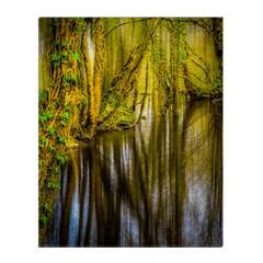 Canvas Wrap - Magical Moods of Yeats’ Faerie Forest, Ballylee, County Galway - James A. Truett - Moods of Ireland - Irish Art