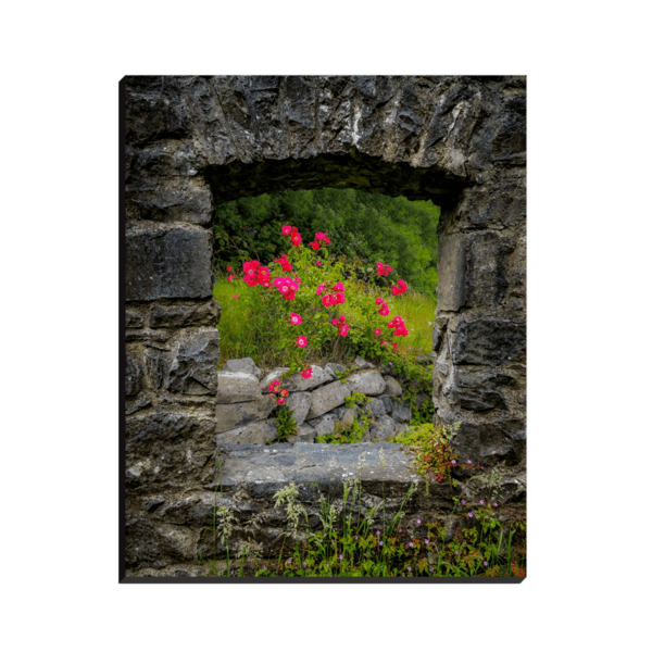 Canvas Wrap - Wild Irish Roses in County Galway - James A. Truett - Moods of Ireland - Irish Art