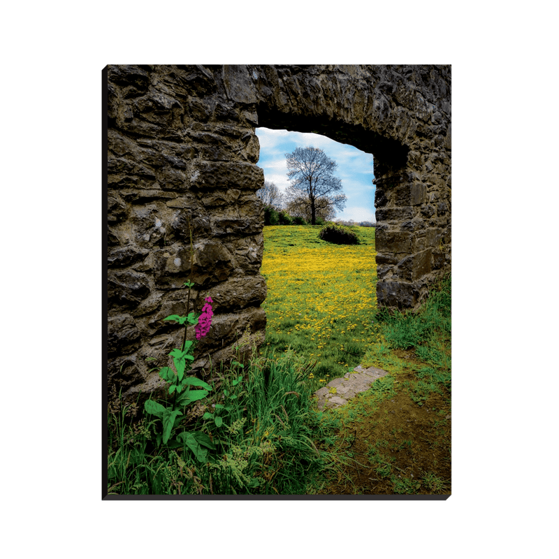 Canvas Wrap - Foxglove and Dandelion Meadow, County Clare - James A. Truett - Moods of Ireland - Irish Art