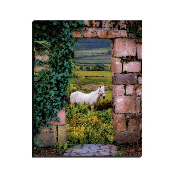 Canvas Wrap - Horse in the Irish Countryside of County Clare - James A. Truett - Moods of Ireland - Irish Art