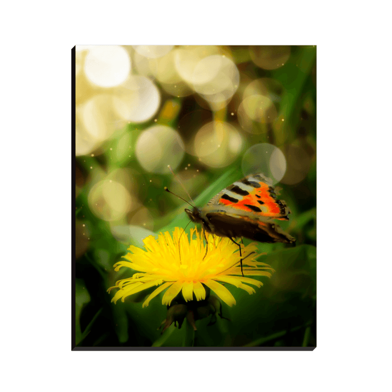 Canvas Wrap - May Butterfly and Dandelion, County Clare - James A. Truett - Moods of Ireland - Irish Art