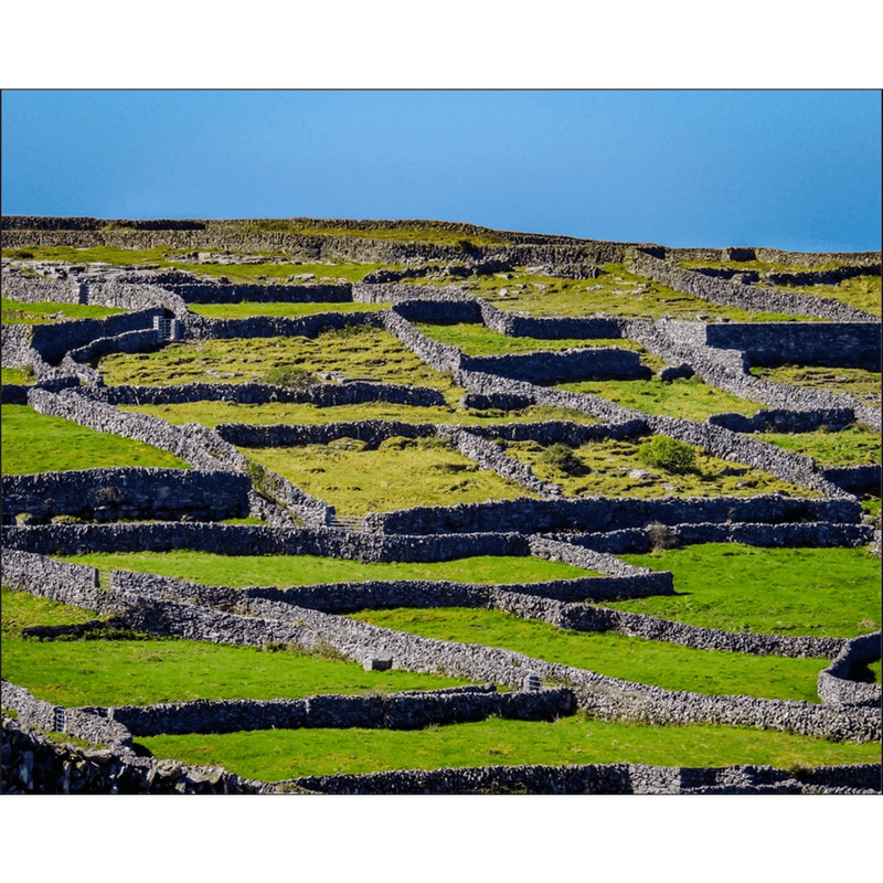 Print - Criss-crossed Rock Walls of Inisheer, Aran Islands, County Galway - James A. Truett - Moods of Ireland - Irish Art