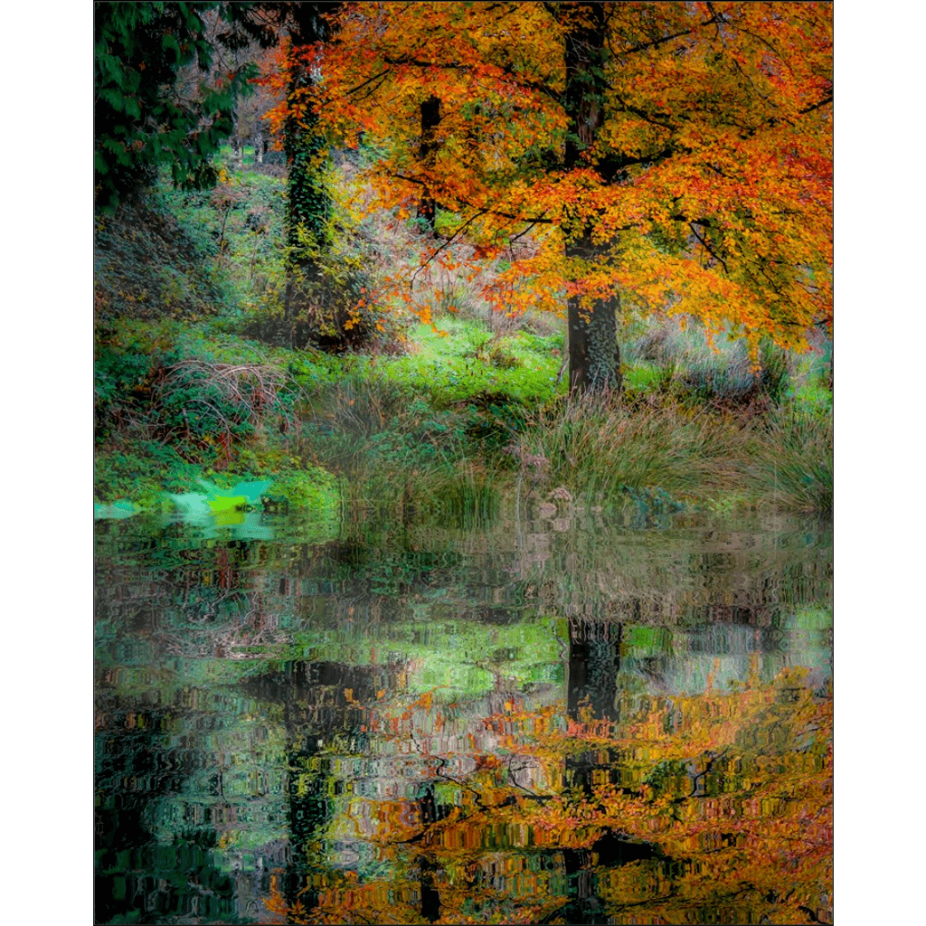 Print - Autumn Reflections in the Irish Countryside - James A. Truett - Moods of Ireland - Irish Art