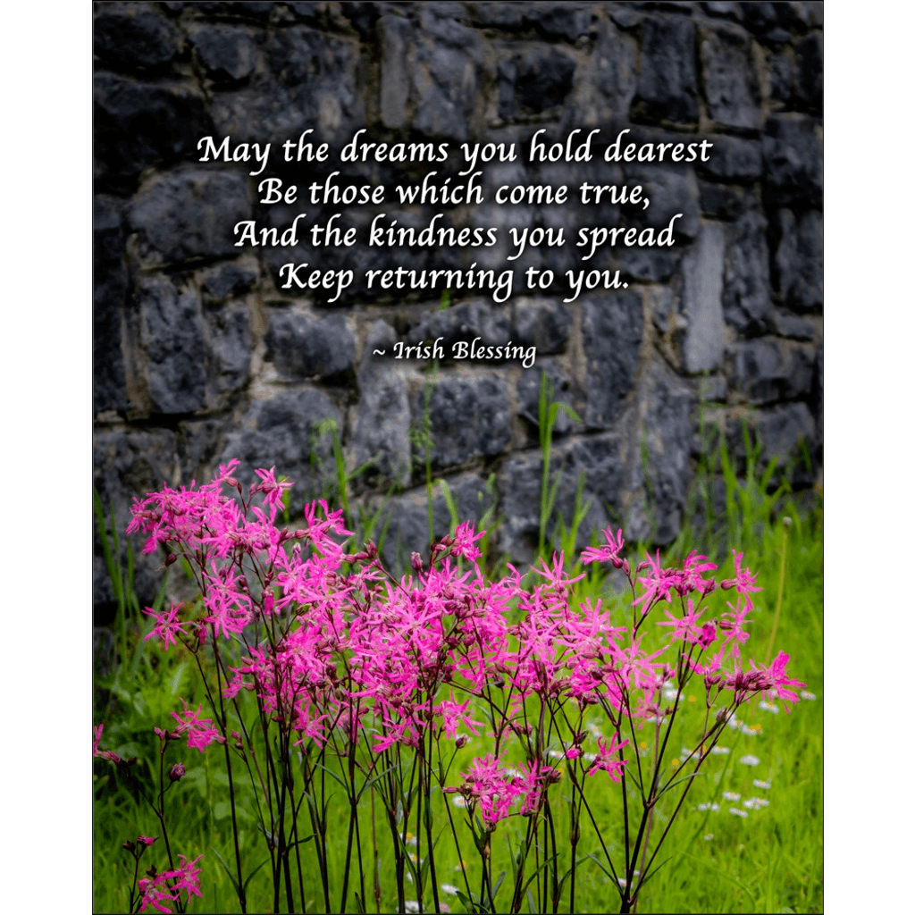 Print - Irish Blessing and Ragged Robin Wildflowers - James A. Truett - Moods of Ireland - Irish Art