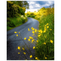 Print - Buttercups on the Road to Lavalla, County Clare - James A. Truett - Moods of Ireland - Irish Art