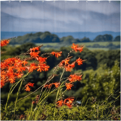 Shower Curtain - Vibrant Montbretia Flowers in the County Clare Countryside - James A. Truett - Moods of Ireland - Irish Art