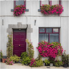 Shower Curtain - Flower Adorned Homefront in Kinvara, County Galway - James A. Truett - Moods of Ireland - Irish Art