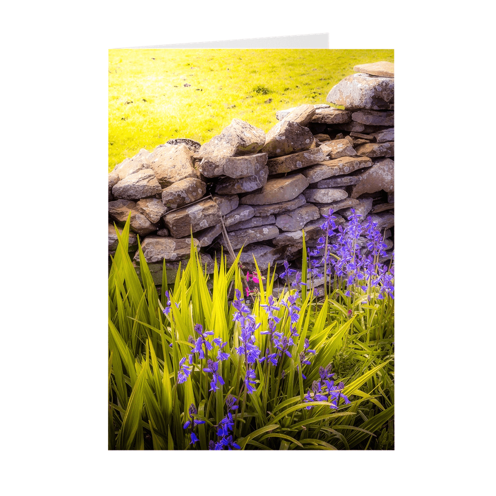 Folded Note Cards - Spring Bluebells and Stone Fence, County Clare - James A. Truett - Moods of Ireland - Irish Art