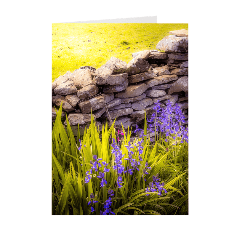 Folded Note Cards - Spring Bluebells and Stone Fence, County Clare - James A. Truett - Moods of Ireland - Irish Art