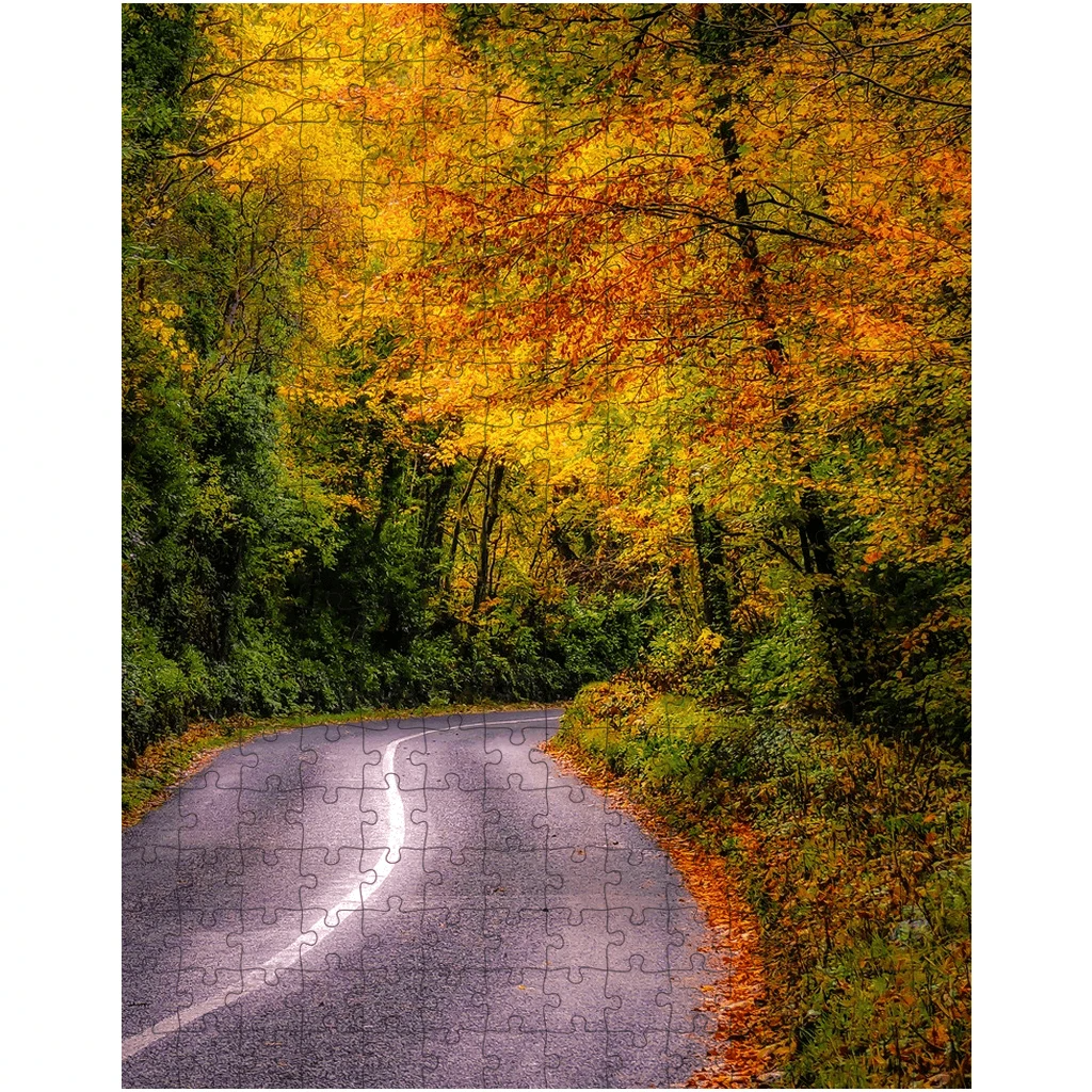 Puzzle - Country Road under Autumn Canopy, County Clare, Ireland - James A. Truett - Moods of Ireland - Irish Art